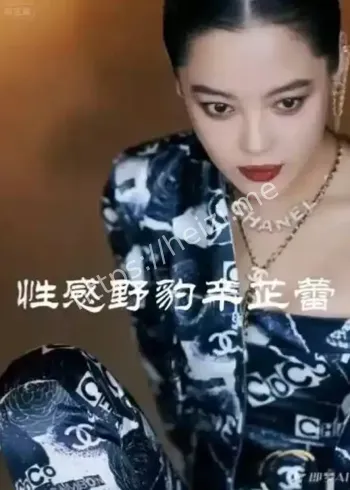 甄子丹回应带辛芷蕾入行